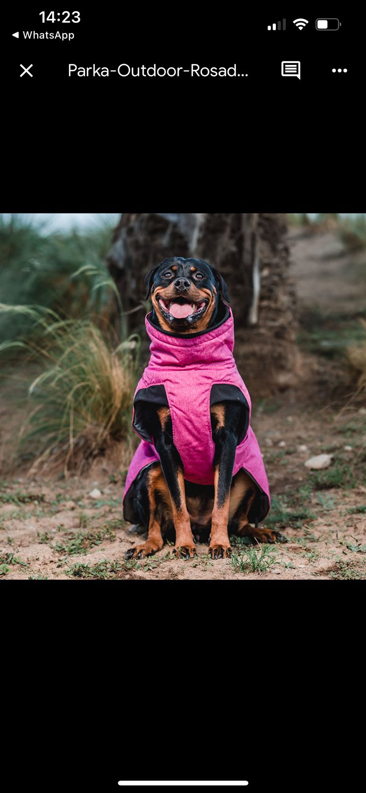 PARKAS PETLOUNGE - Imagen 5