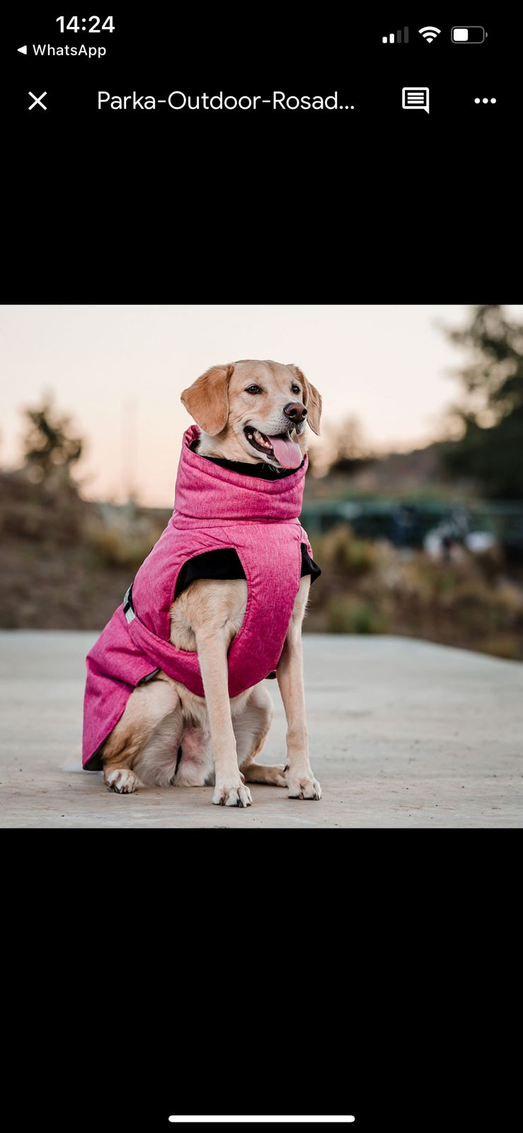 PARKAS PETLOUNGE - Imagen 4