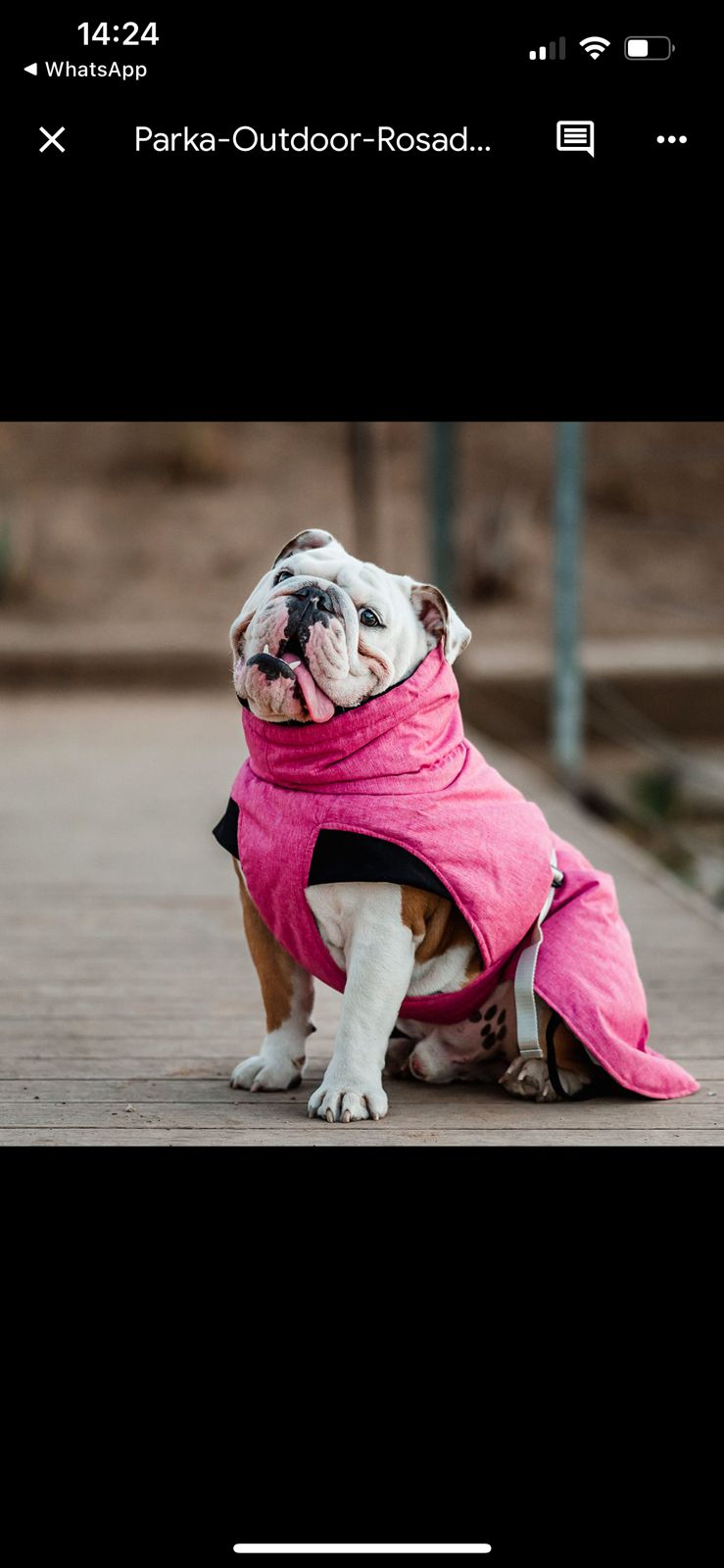 PARKAS PETLOUNGE - Imagen 3
