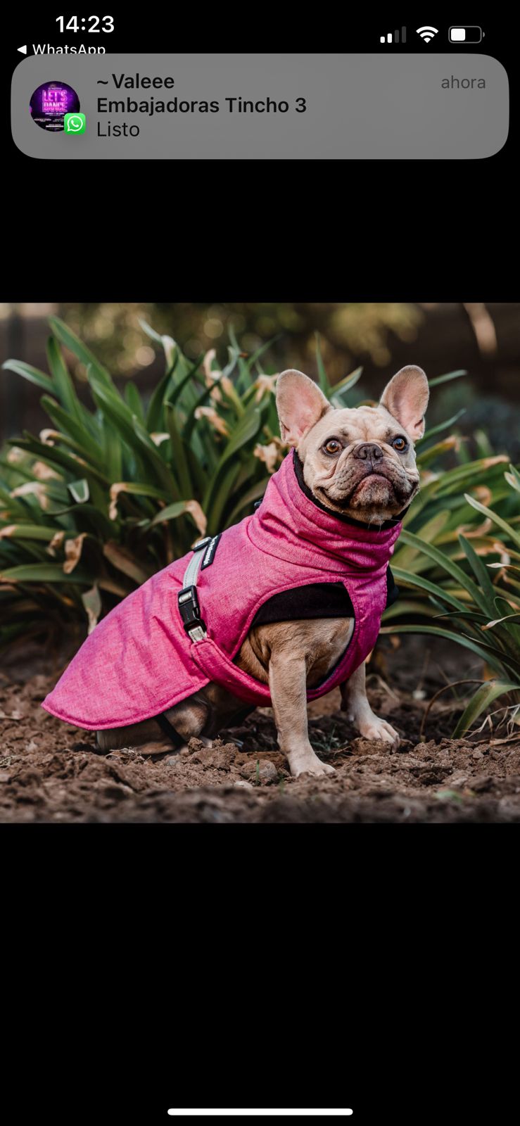 PARKAS PETLOUNGE - Imagen 2