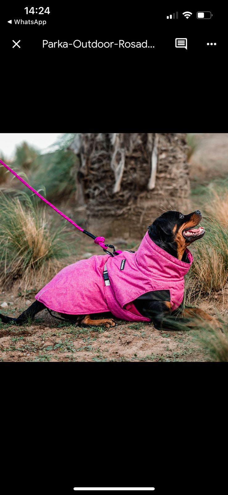 PARKAS PETLOUNGE
