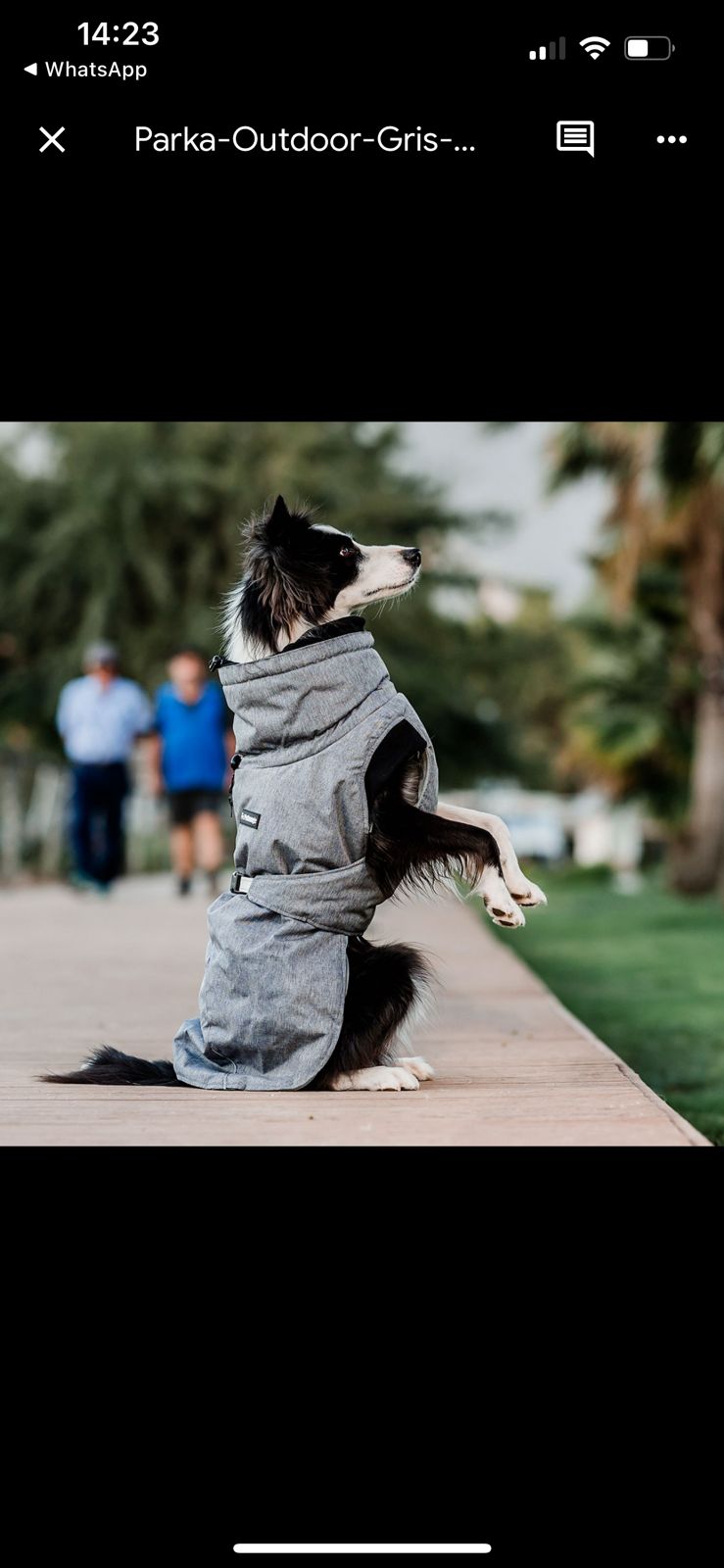 PARKAS PETLOUNGE - Imagen 10