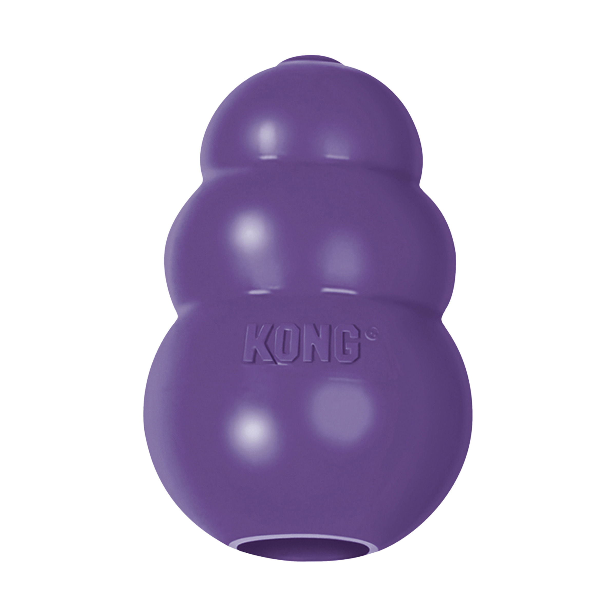 KONG SENIOR
